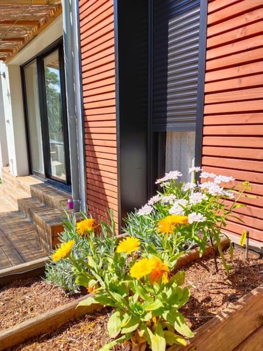 Notre Petite Maison La Rochelle  Extérieur photo